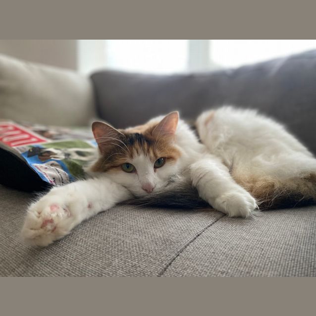 Photo of Kiki