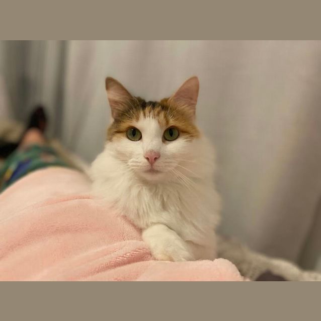 Photo of Kiki