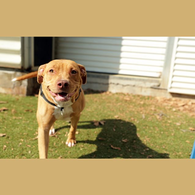 Photo of Nala