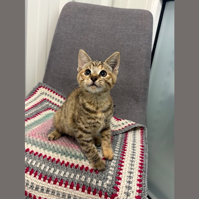 Photo of Zaria