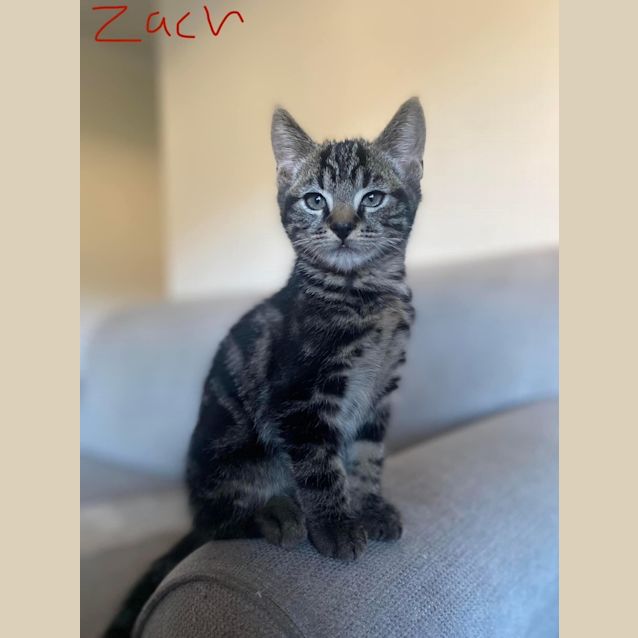 Photo of Zach