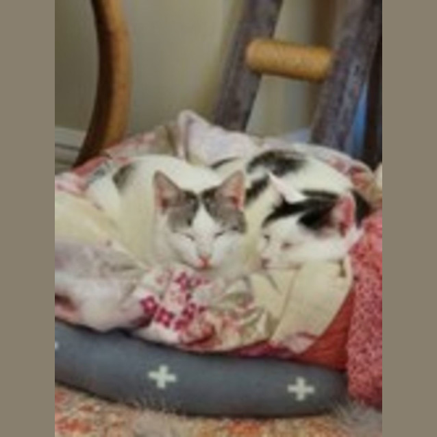 Photo of Charlie And Champ