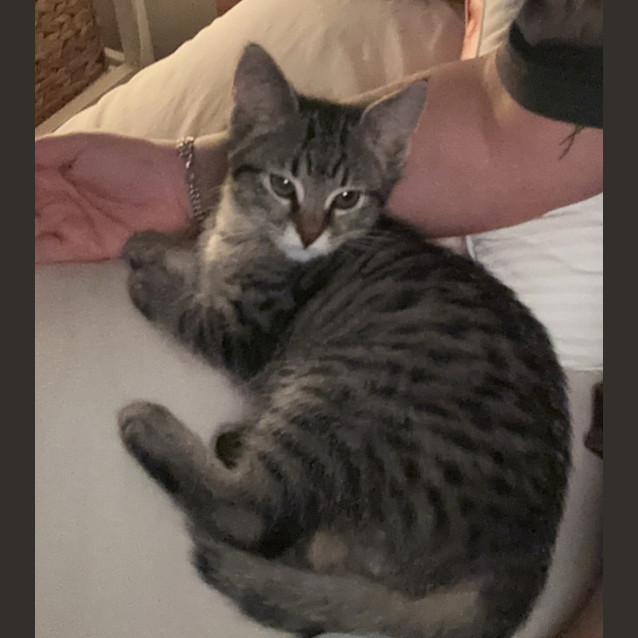 Photo of Peppermint