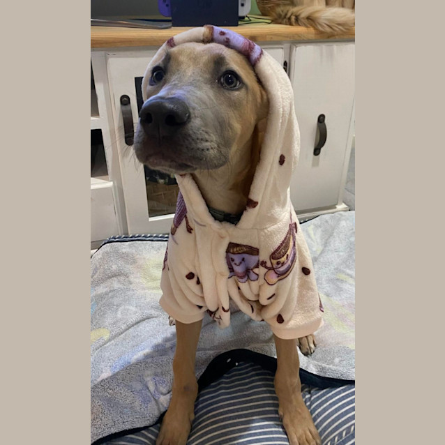 Photo of Dudley