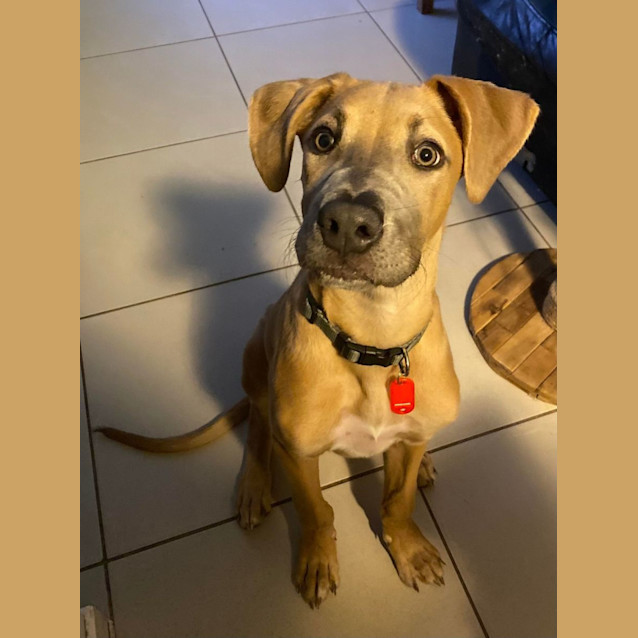 Photo of Dudley