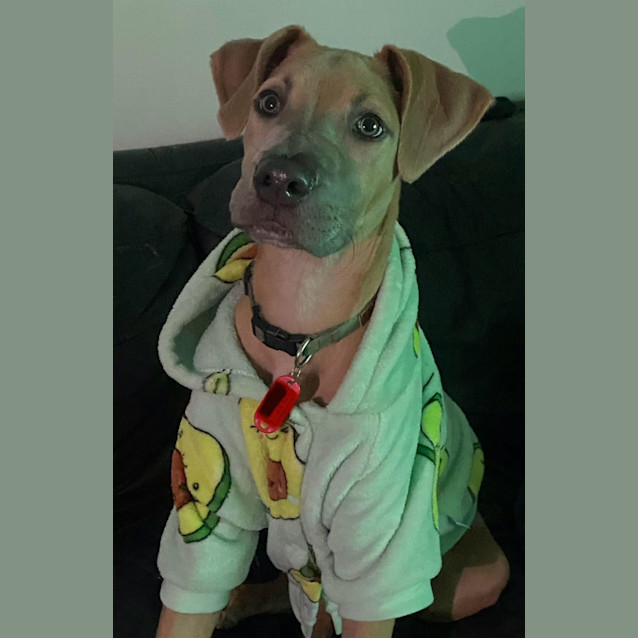 Photo of Dudley