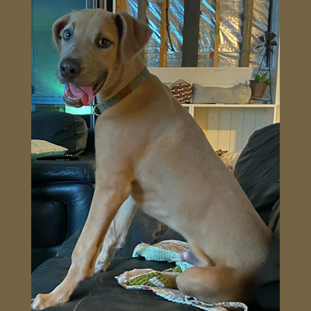 Photo of Dudley