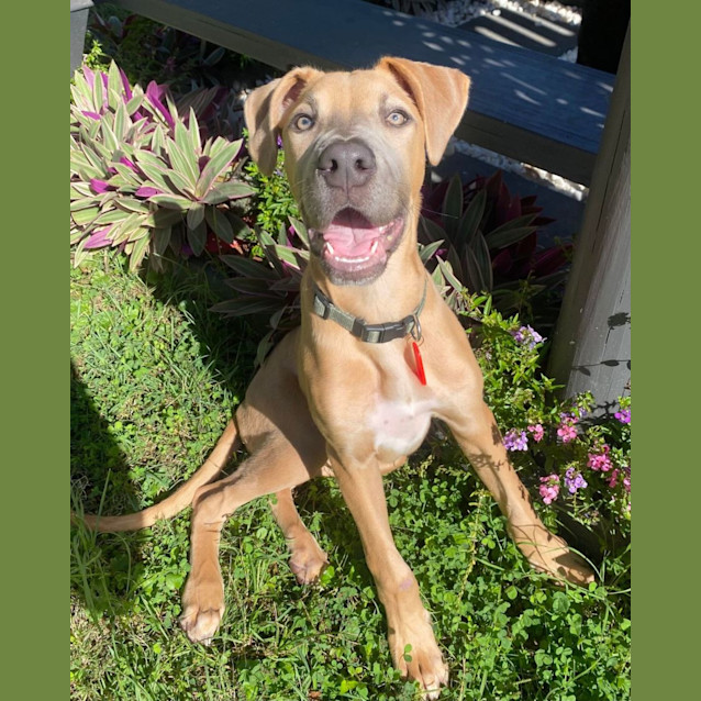Photo of Dudley