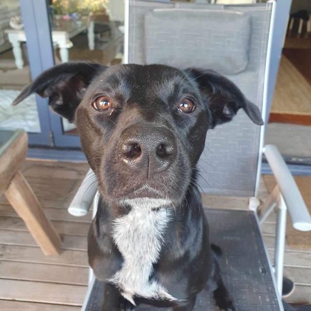 Photo of Tootsie 