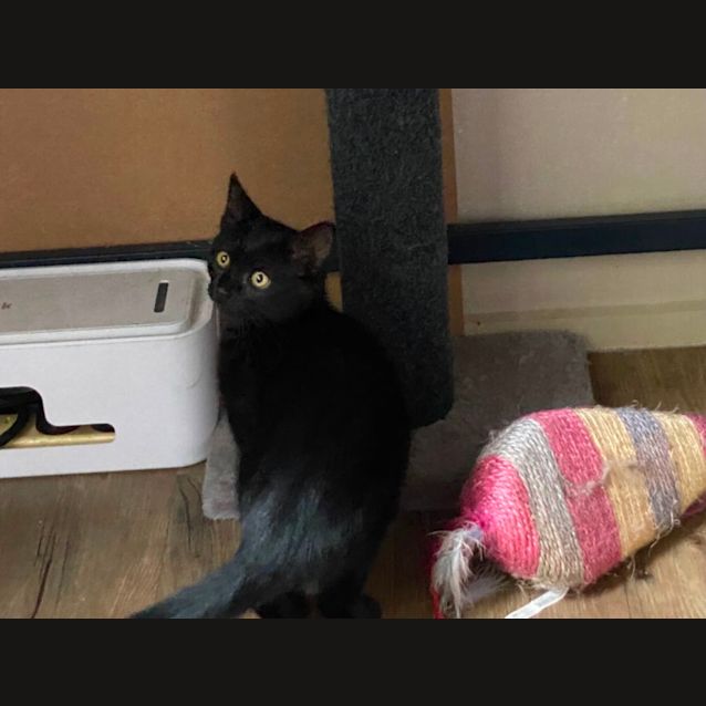 Photo of Julie Meet Me @Petstock Carrum Downs Store