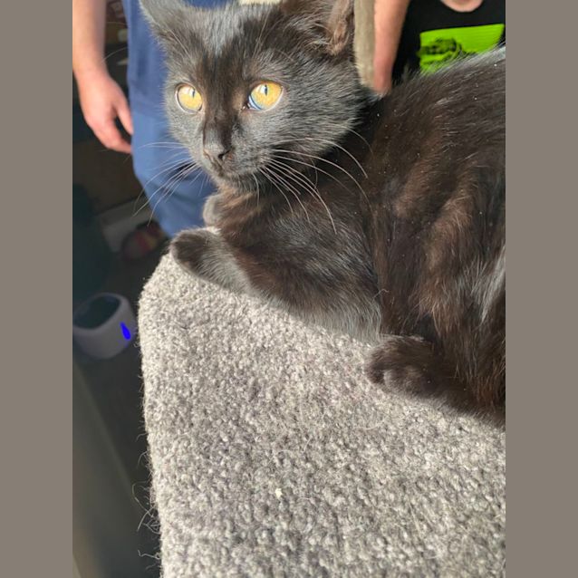 Photo of Julie Meet Me @Petstock Carrum Downs Store