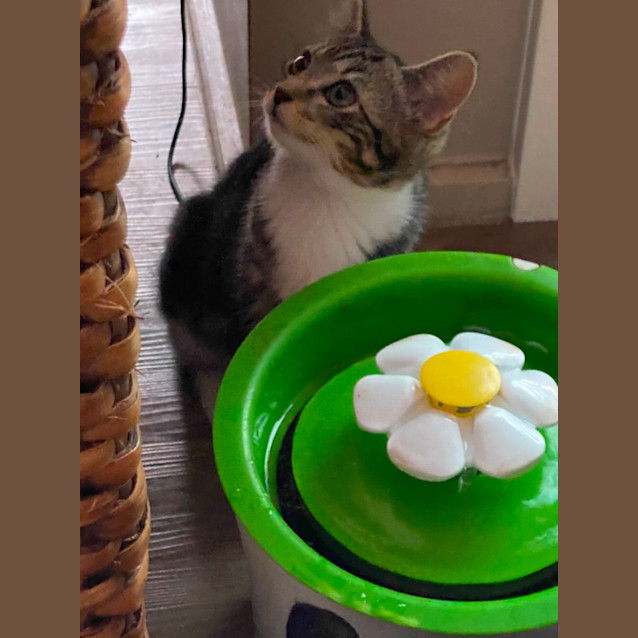 Photo of Frances Meet Me @Petstock Carrum Downs Store