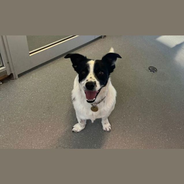 Photo of Lola
