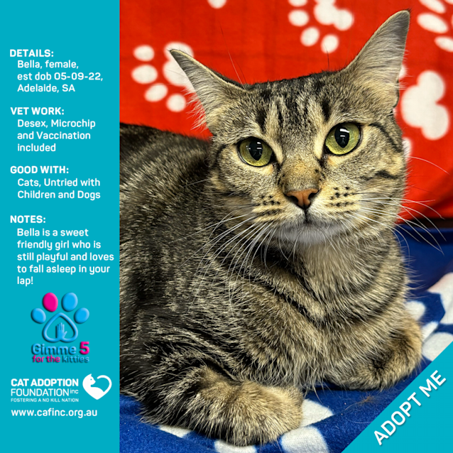 Photo of Bella & Max 2 For 1 Mum & Bubs Deal!