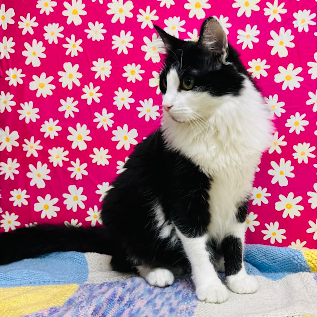 Photo of Zenith   Located In Preston