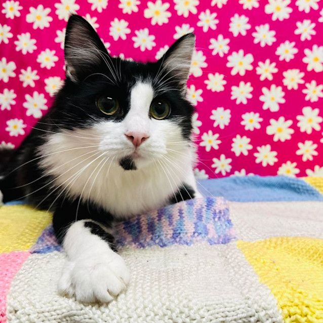 Photo of Zenith   Located In Preston