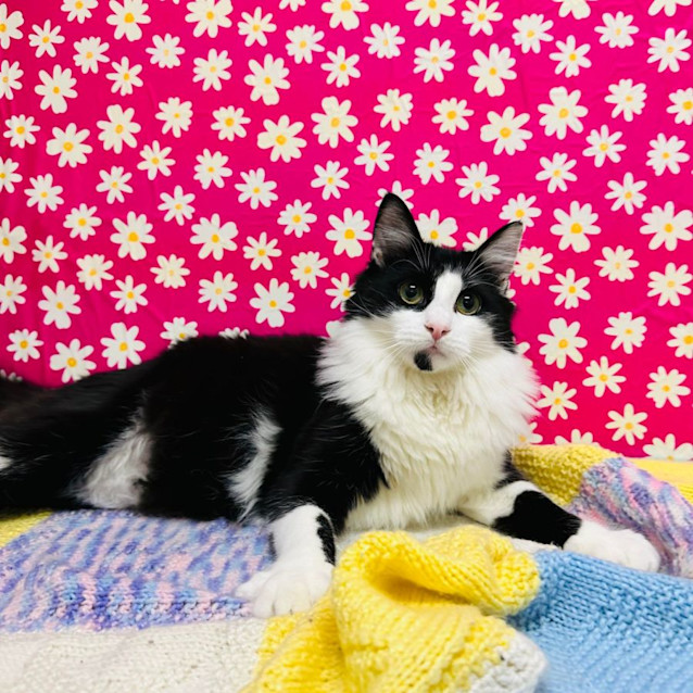 Photo of Zenith   Located In Preston