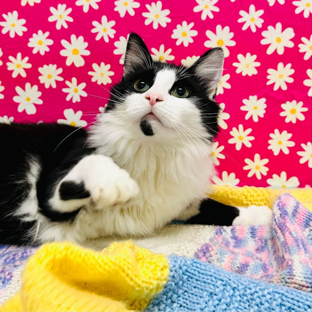 Photo of Zenith   Located In Preston