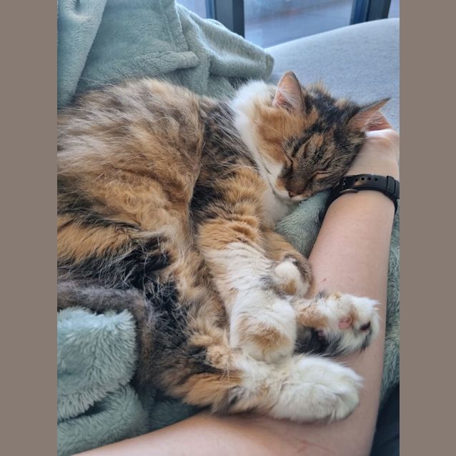 Photo of Cherie