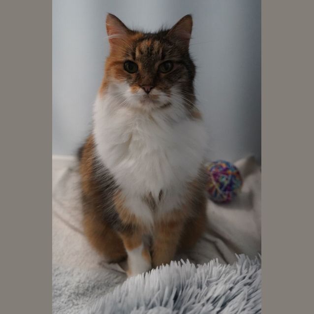 Photo of Cherie