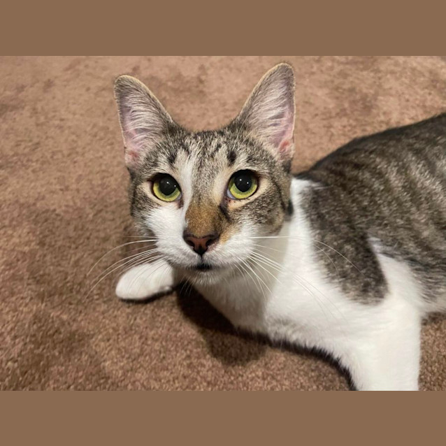 Photo of Xena
