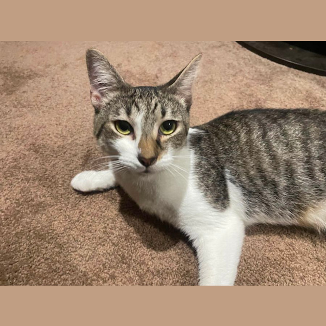 Photo of Xena