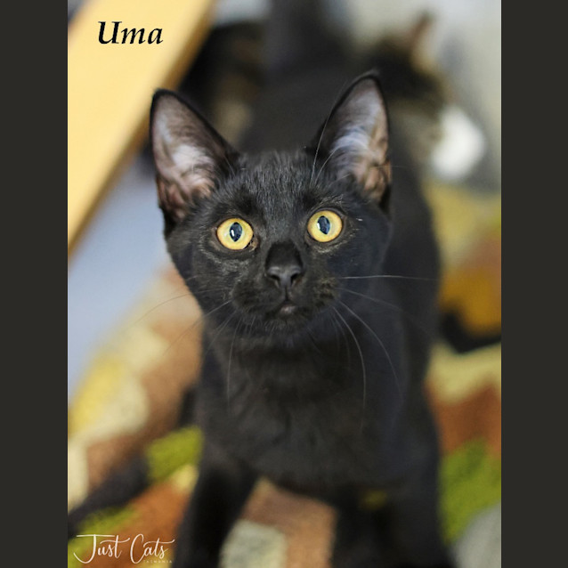 Photo of Uma