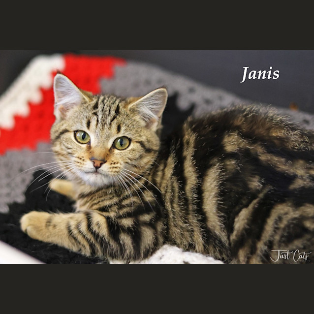 Photo of Janis   Ulverstone Expo