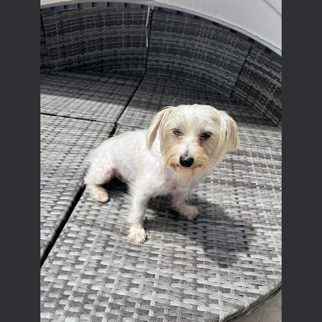 Photo of Relish 