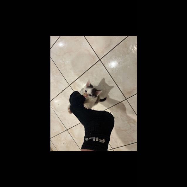 Photo of Fettuccini & Ravioli 