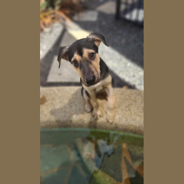 Photo of Bentley