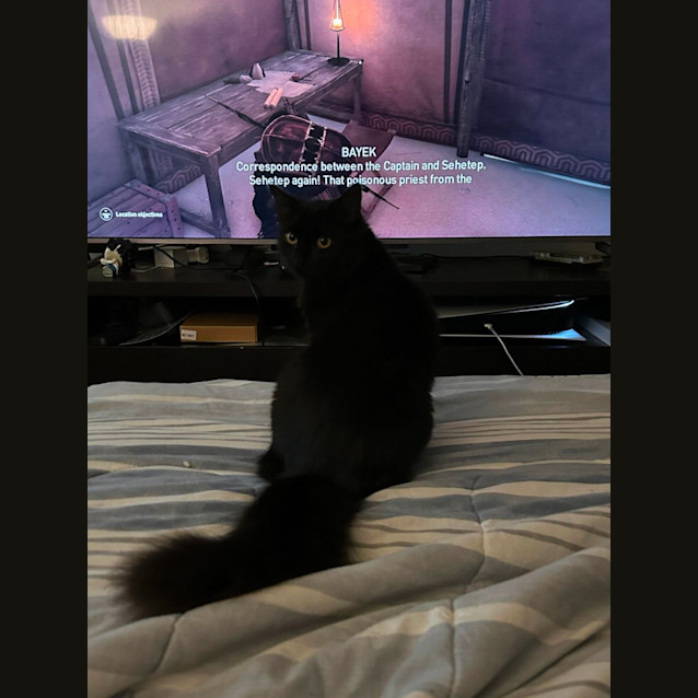 Photo of 🖤 Fluffy 🖤