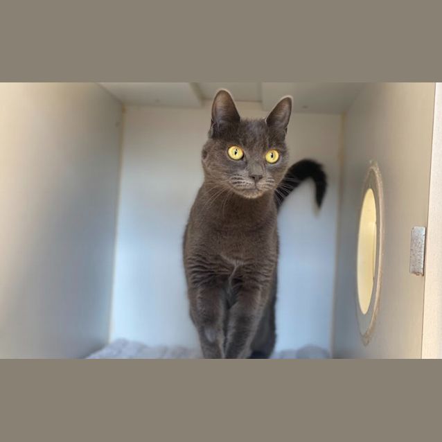 Photo of Queenie