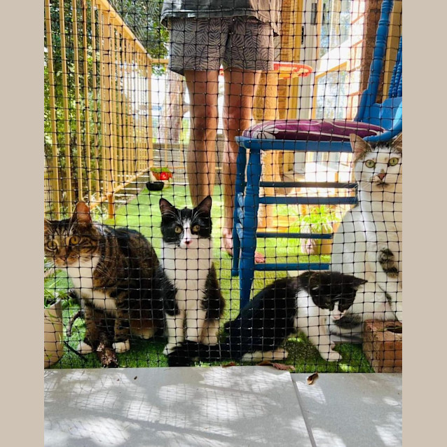 Photo of Cutesy Gutsy