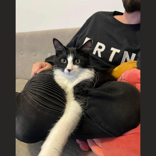 Photo of Cutesy Gutsy