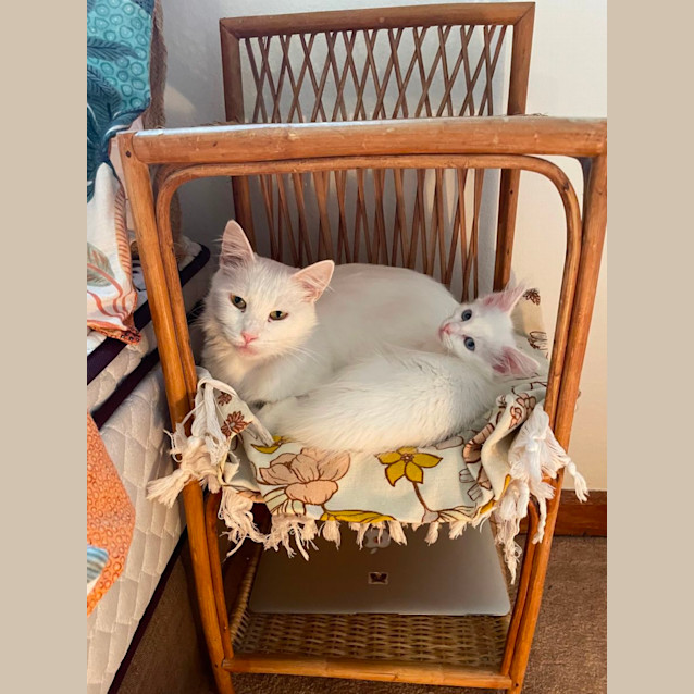 Photo of Paris & Toulouse 