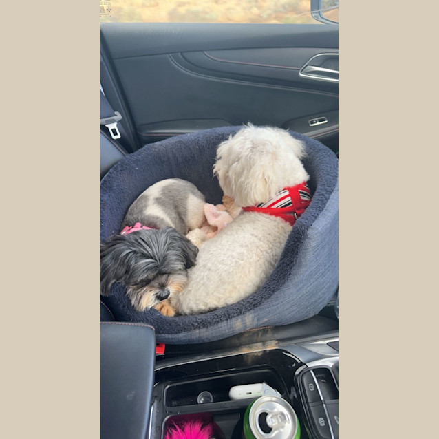 Photo of Baby Girl And Teddy 