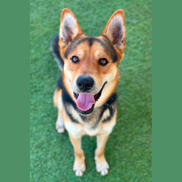 Photo of Taz