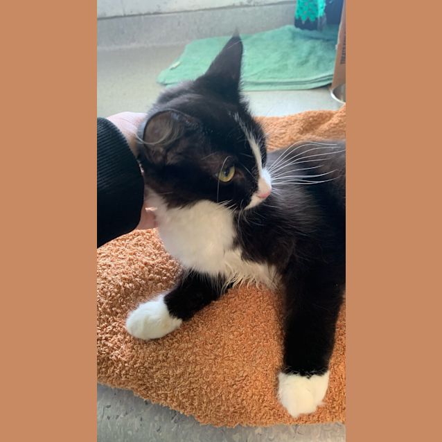 Photo of Malia