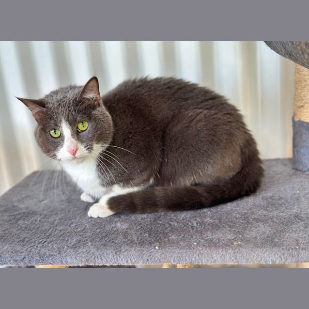 Photo of Milly