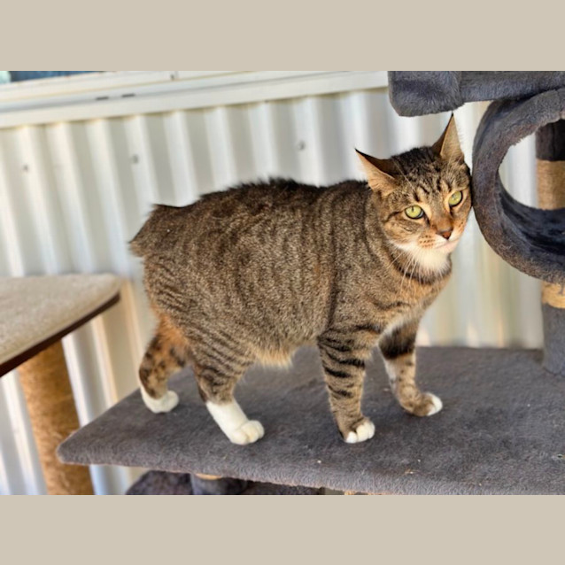 Photo of Hazel