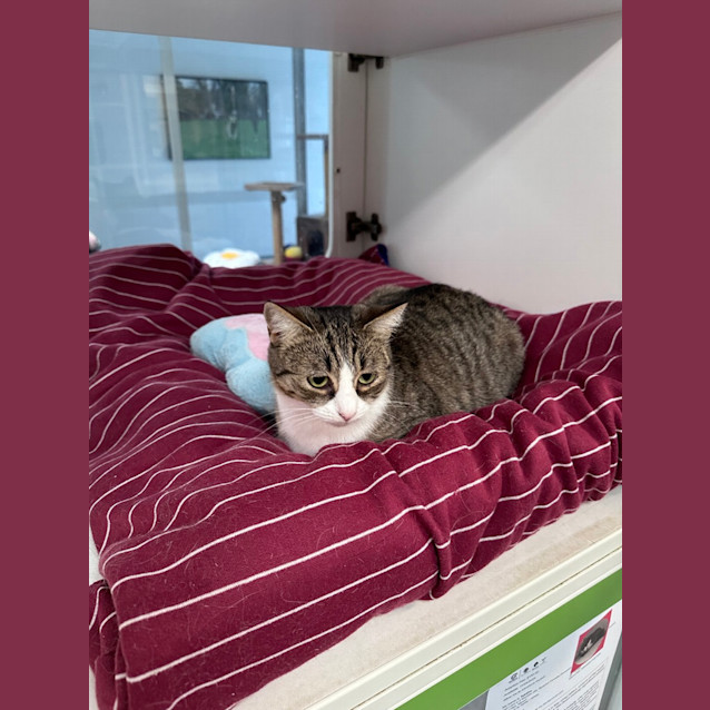 Photo of Winnie