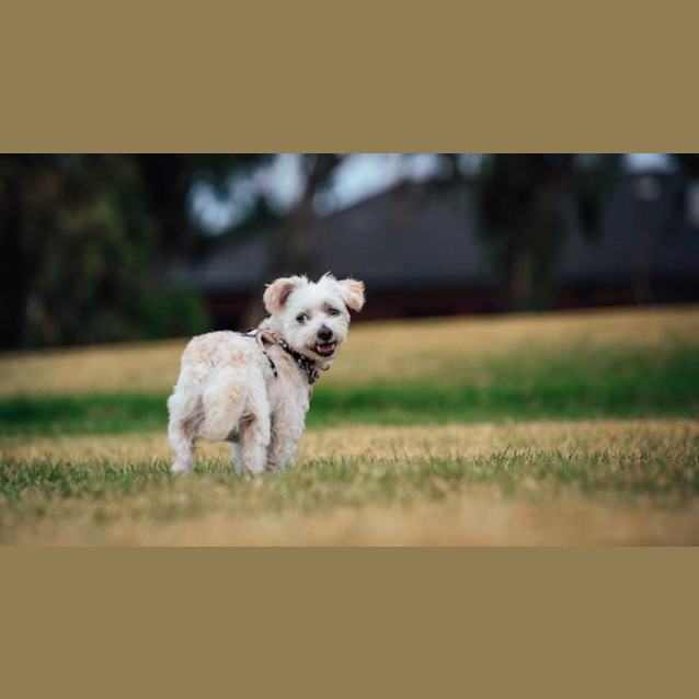 Photo of Martha And Matti Wilberforce