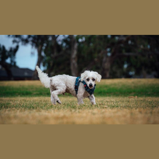 Photo of Martha And Matti Wilberforce