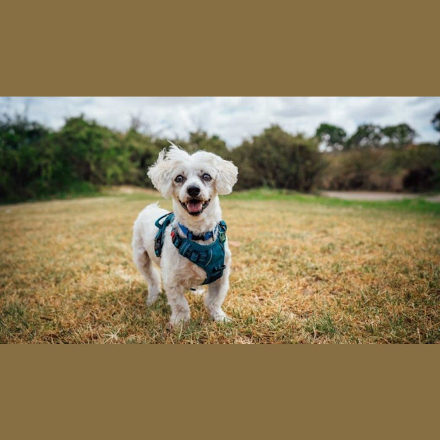 Photo of Martha And Matti Wilberforce