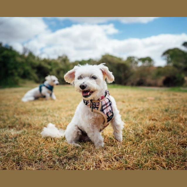 Photo of Martha And Matti Wilberforce