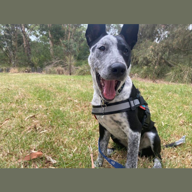 Photo of Siggy Elphinstone