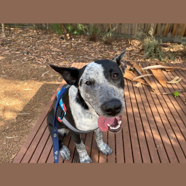 Photo of Siggy Elphinstone