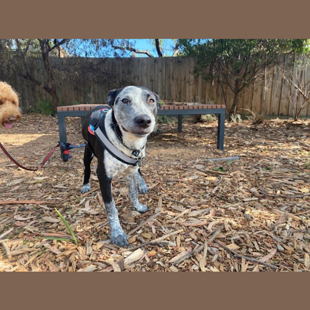 Photo of Siggy Elphinstone