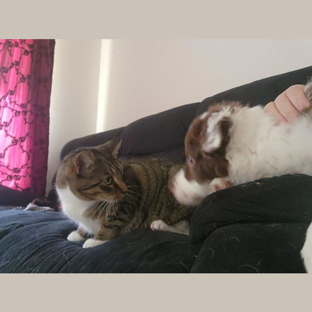 Photo of Wesley Elphinstone